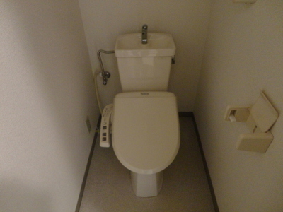 Toilet. Toilet