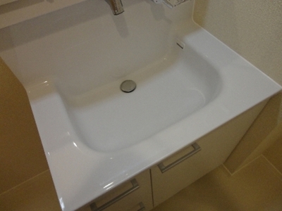 Washroom. Shampoo dresser