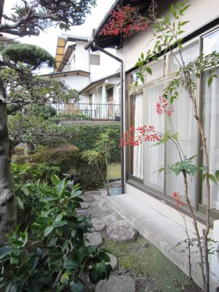 Garden. Planting has been carefully managed