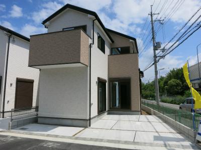 Local photos, including front road