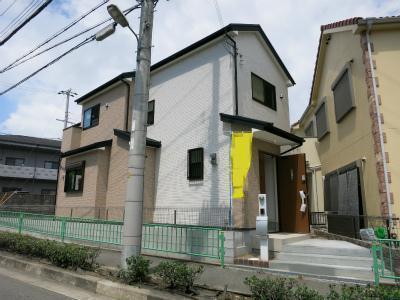 Local appearance photo. local