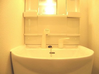 Washroom. Wash basin