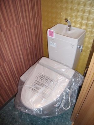 Toilet. Washlet toilet.