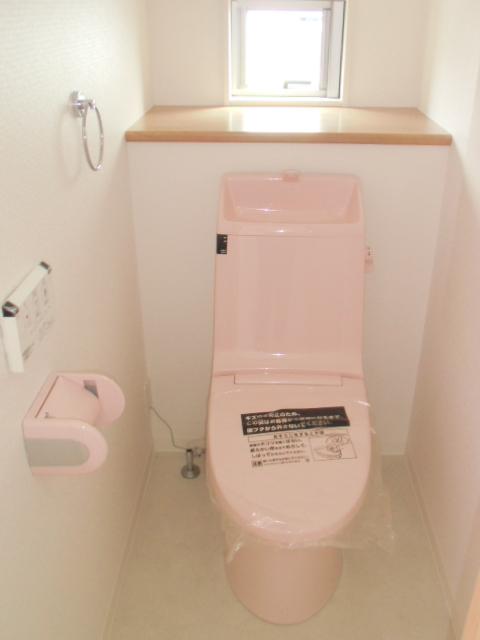 Toilet. Room (August 2013) Shooting