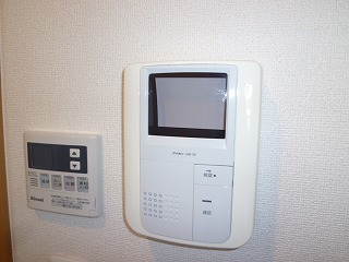 Security. TV Monitahon