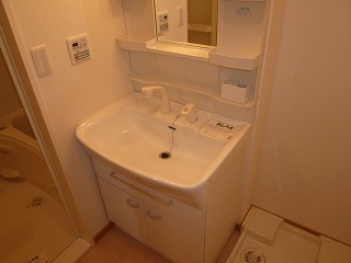 Washroom. Shampoo dresser
