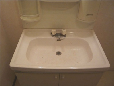 Washroom. Shampoo dresser