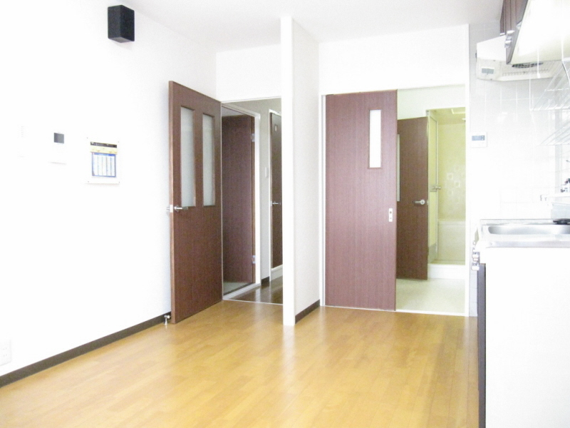 Living and room. Entrance