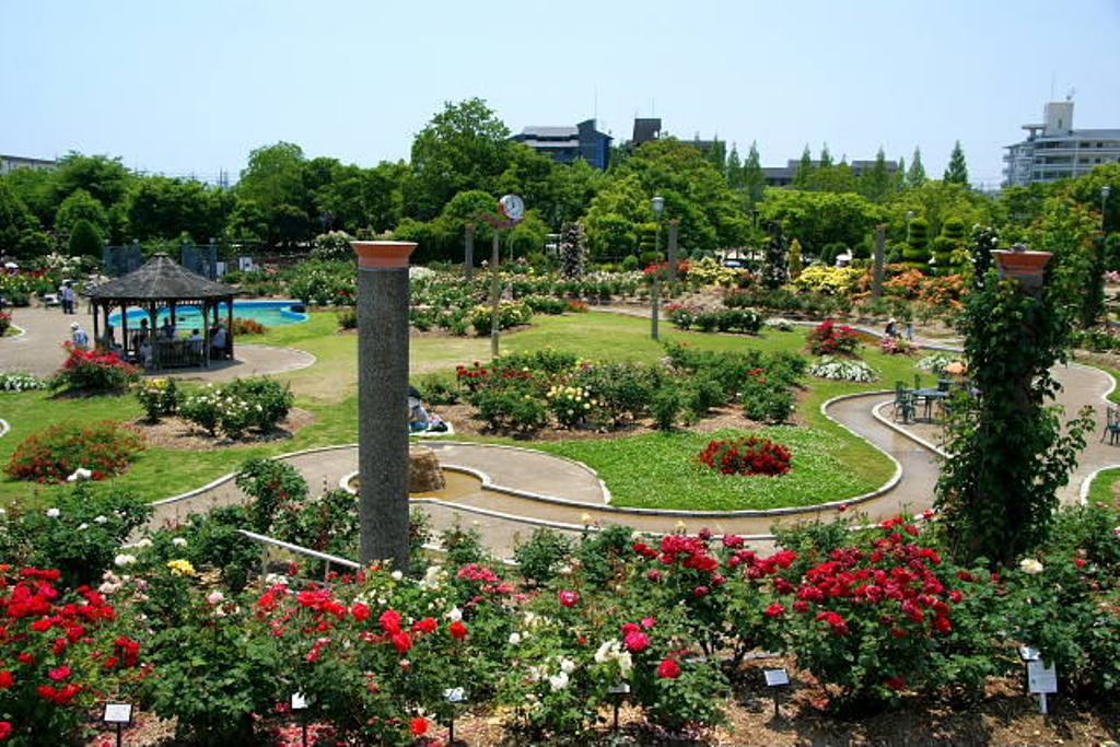 park. Wakazono 606m to the park (park)