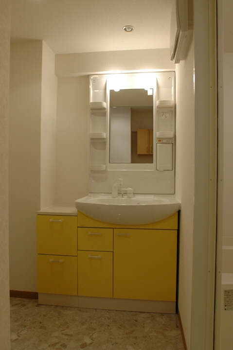 Washroom. Shampoo dresser