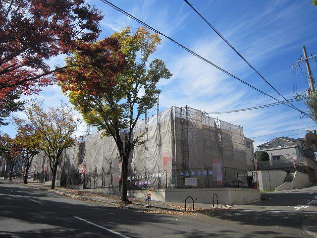 Local appearance photo. Local (November 14, 2013) Shooting