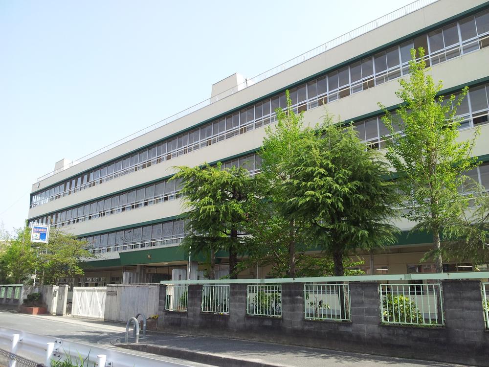 Junior high school. About 11 minutes 880m walk to Shinonome Junior High School