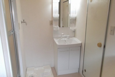 Washroom. Wash basin