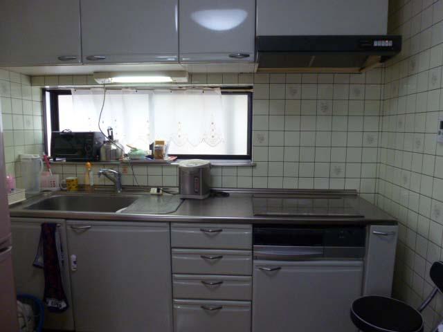 Kitchen. Indoor (12 May 2013) Shooting