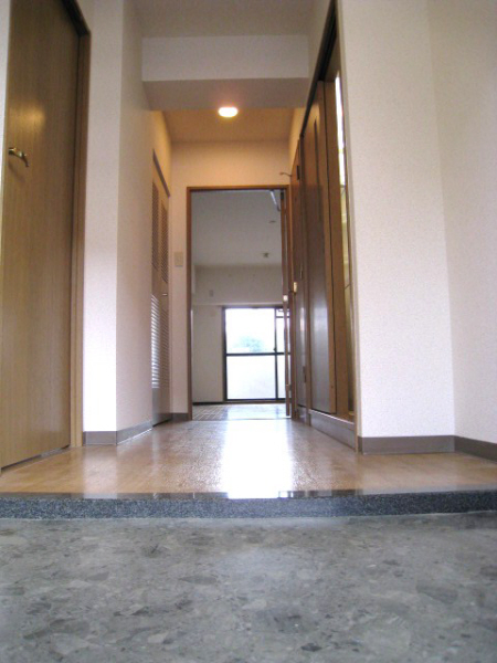 Living and room. Entrance