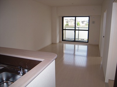 Other room space. Living from the counter