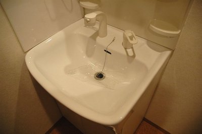 Washroom. Shampoo dresser