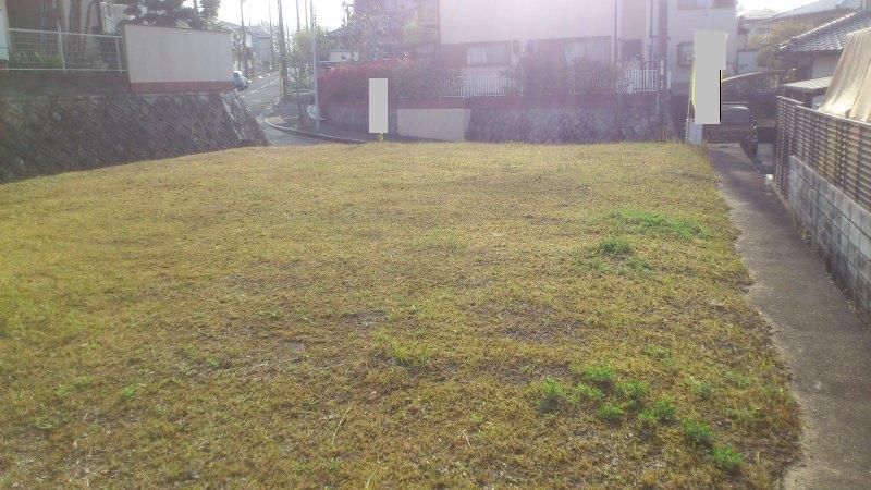 Local land photo. local