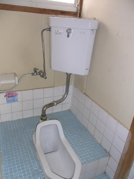 Toilet. Toilet