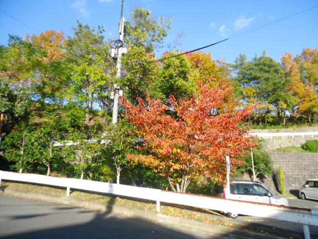 Sale already cityscape photo