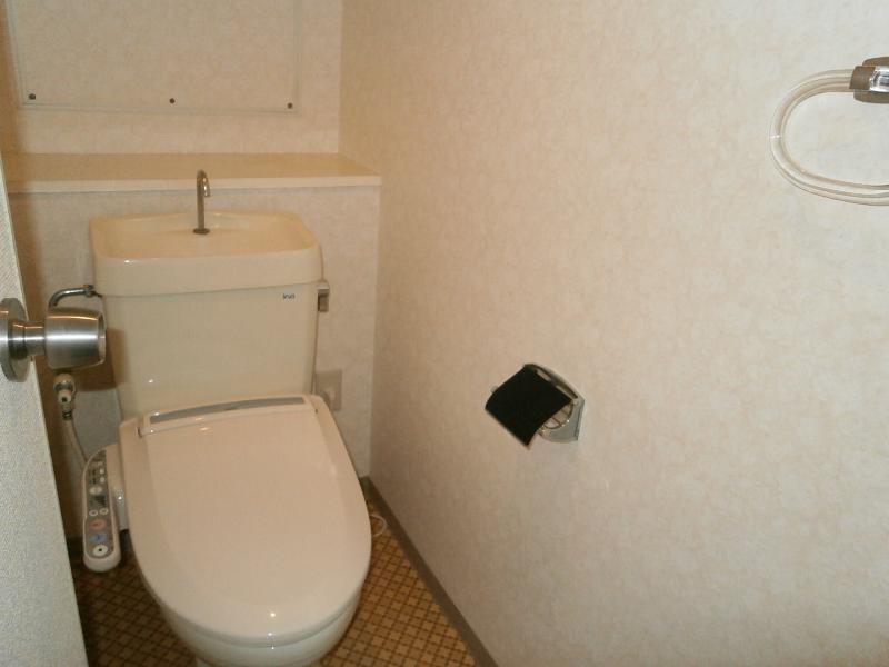 Other room space. Shower toilet