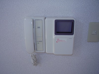 Security. TV Monitahon