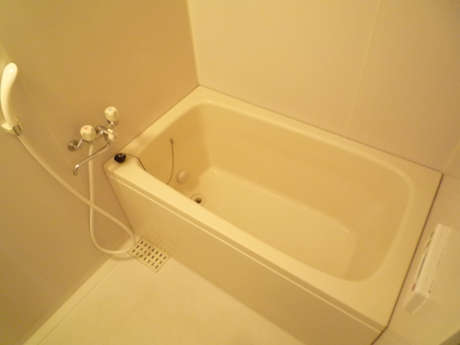 Bath. High temperature Sayu