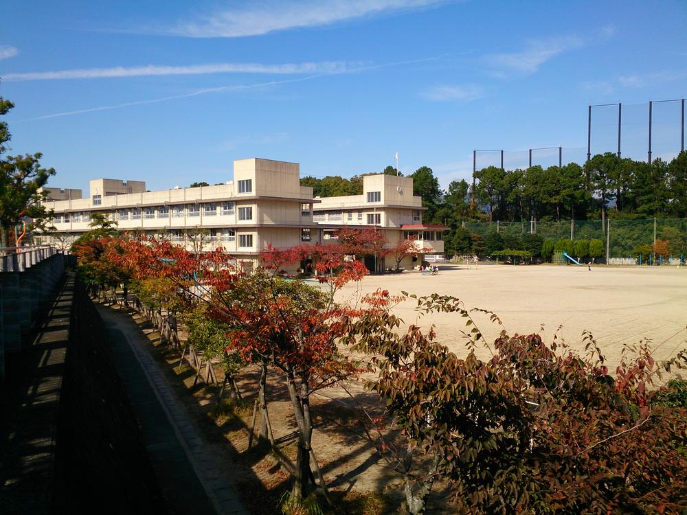 Other. Ibaraki Tatsunishi junior high school