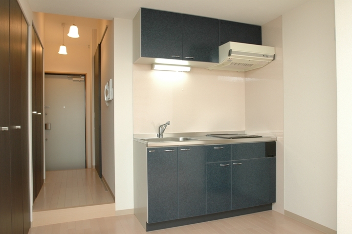 Kitchen. System kitchen