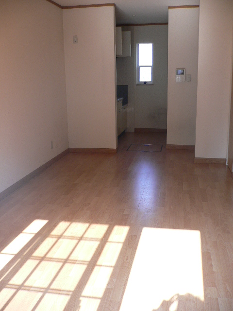 Living and room. Sunny living