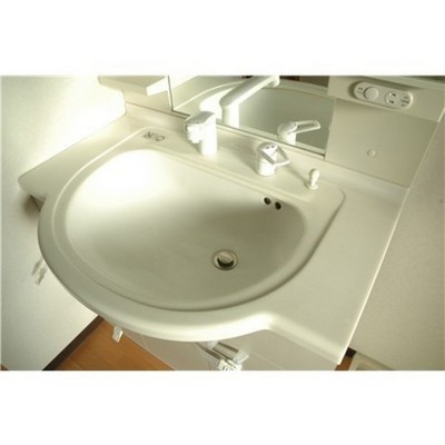 Washroom. Large basin Hall