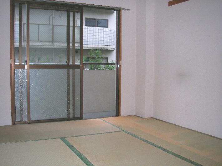 Other room space. Japanese style room
