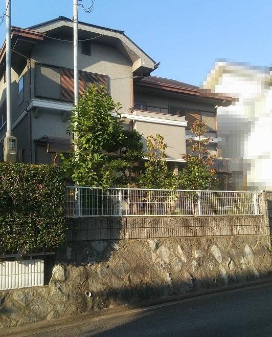 Local appearance photo. Local (10 May 2013) Shooting