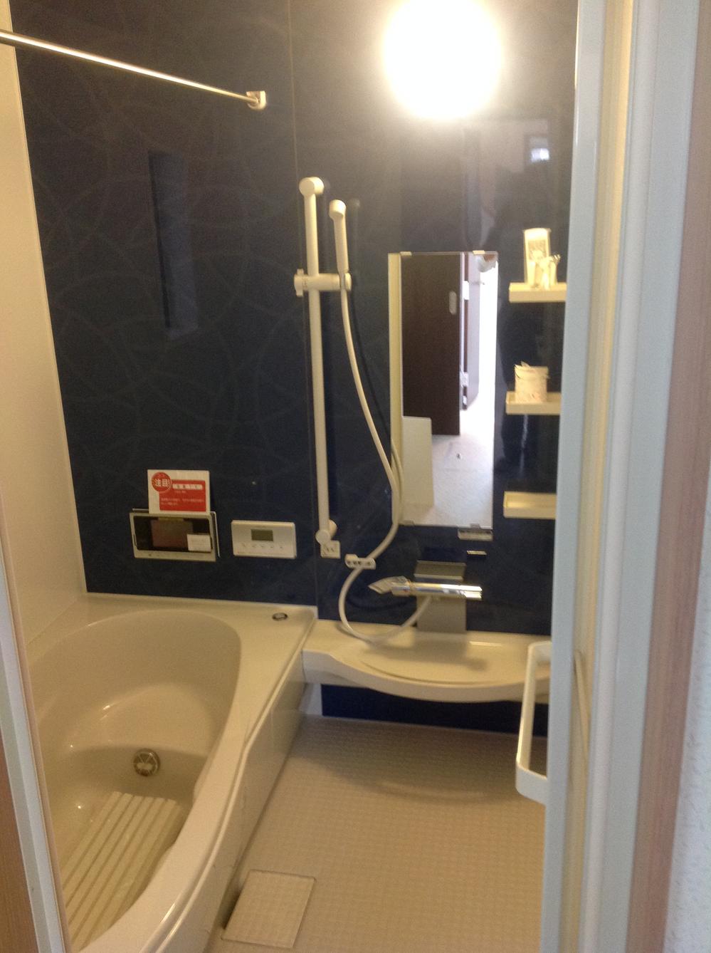 Bathroom. Indoor (September 2012) shooting