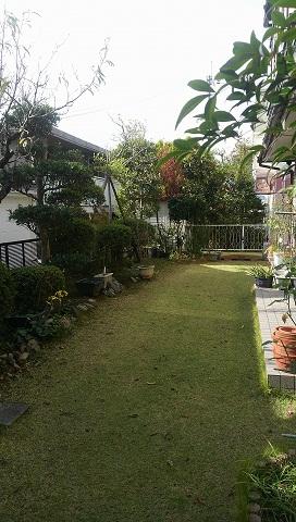 Garden. Local (11 May 2013) Shooting