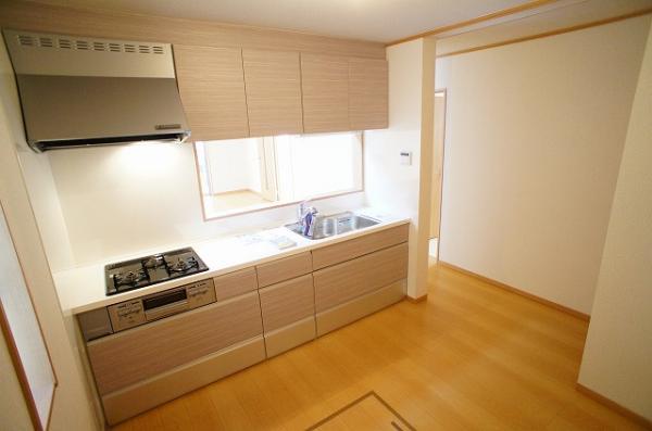 Kitchen. There system kitchen (under the floor storage. )