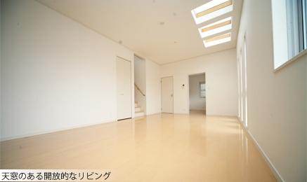 Same specifications photos (living). Living with a same specification bay window and the top light.