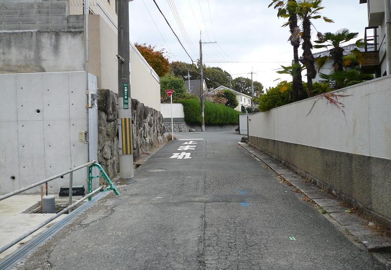 Local photos, including front road. Local (12 May 2012) shooting