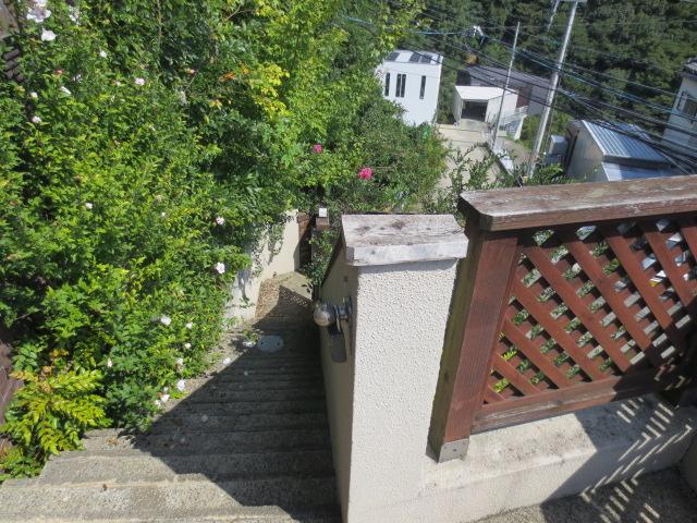 Local appearance photo