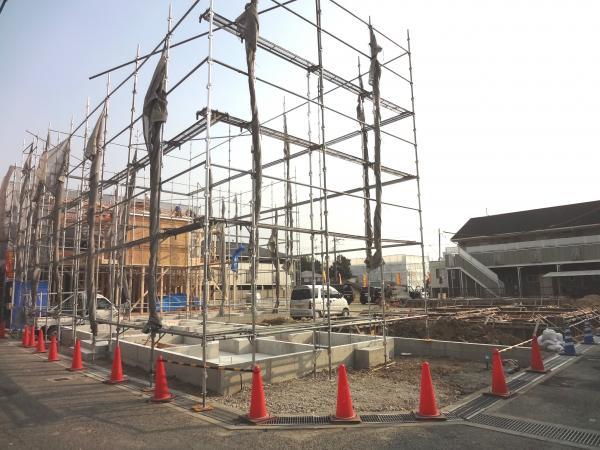 Local appearance photo. local