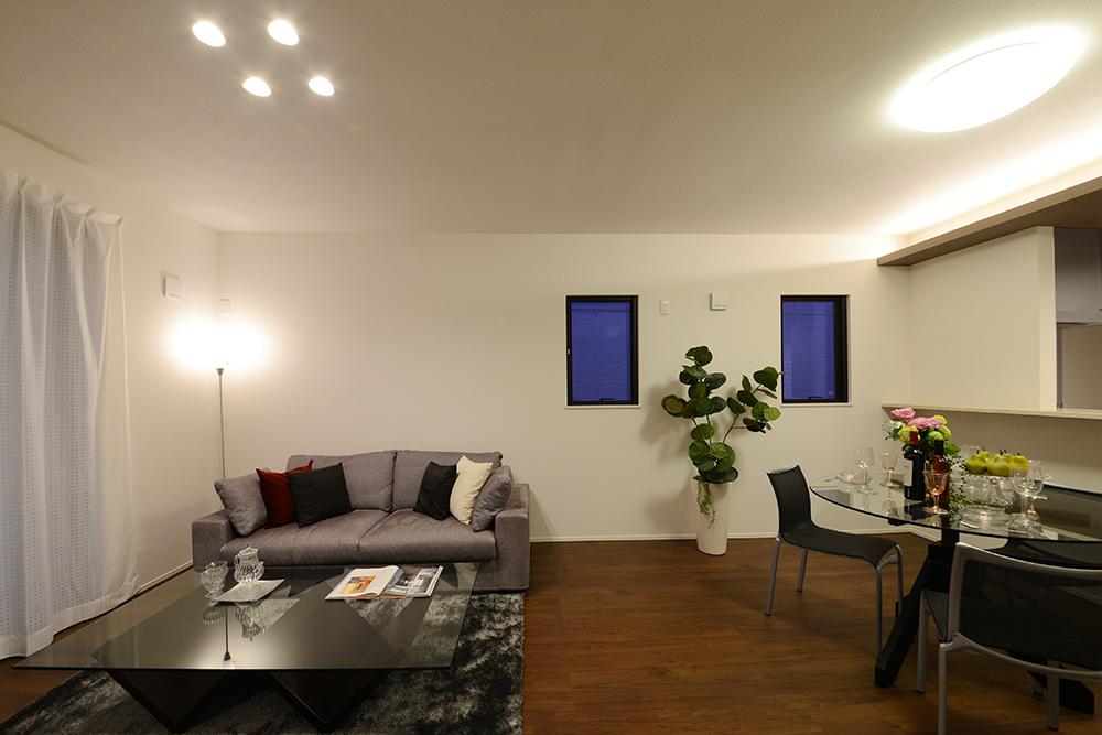 Model house photo. Model house