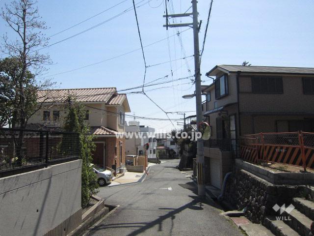 Local photos, including front road