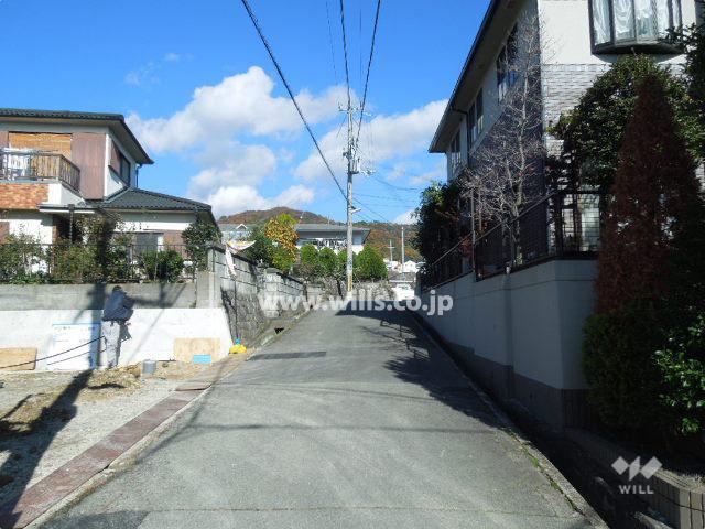 Local photos, including front road. Local (12 May 2013) Shooting