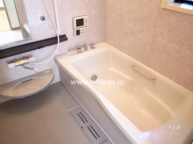 Bathroom. Local (11 May 2013) Shooting