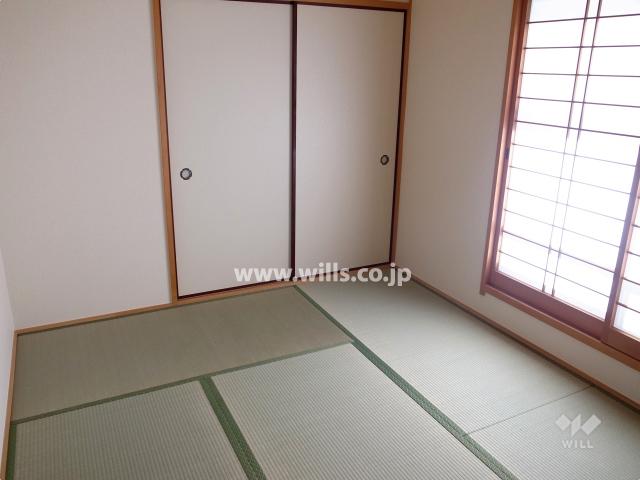 Non-living room. Local (11 May 2013) Shooting