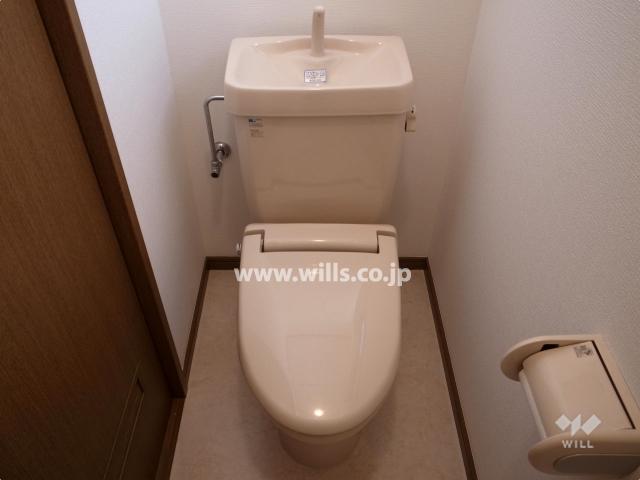 Toilet. Local (11 May 2013) Shooting