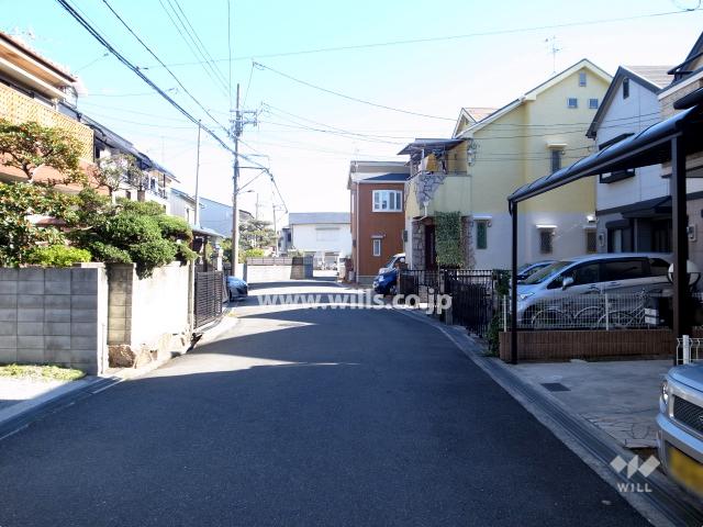 Local photos, including front road. Local (11 May 2013) Shooting