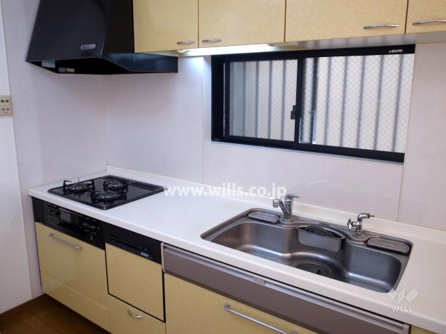 Kitchen. Local (11 May 2013) Shooting