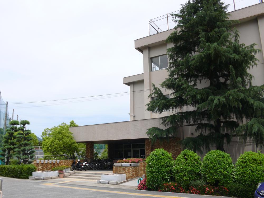 Other. Ikeda walk about 5 minutes from the Municipal Ishibashi Junior High School (about 380m). Cherry trees in full bloom is me colored the way to and from school students in the spring.
