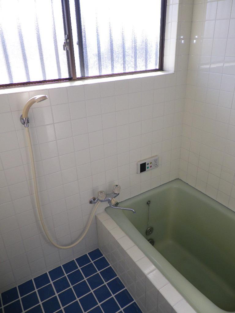 Bathroom. Indoor (April 2012) shooting